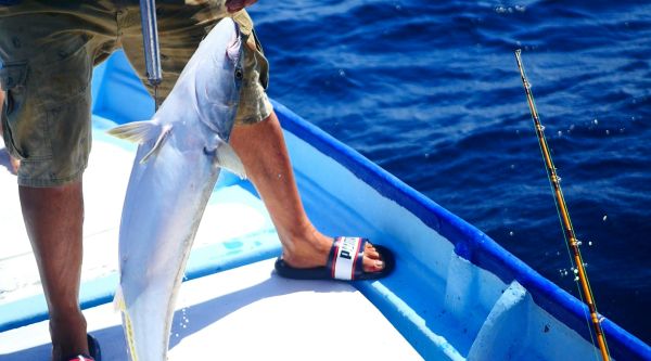 Top astuces pour optimiser votre expérience de pêche au gros en Méditerranée